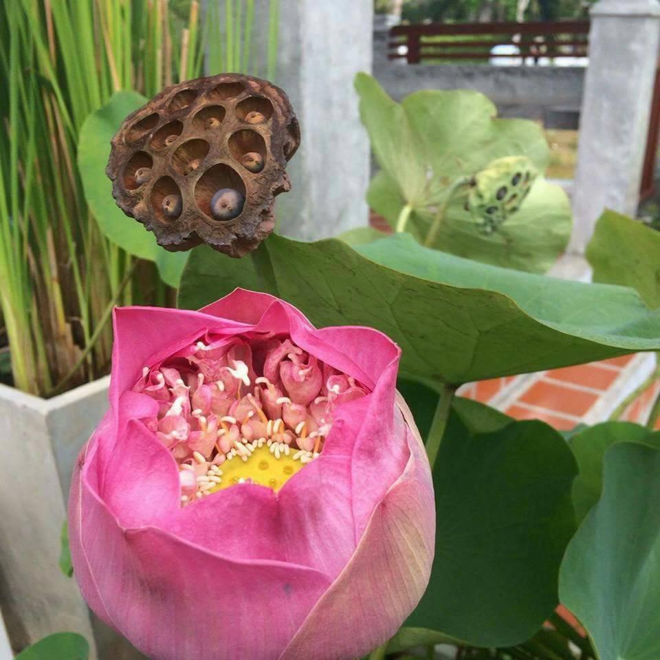 Arthaya Villas - Sha Extra Plus Koh Lanta Luaran gambar