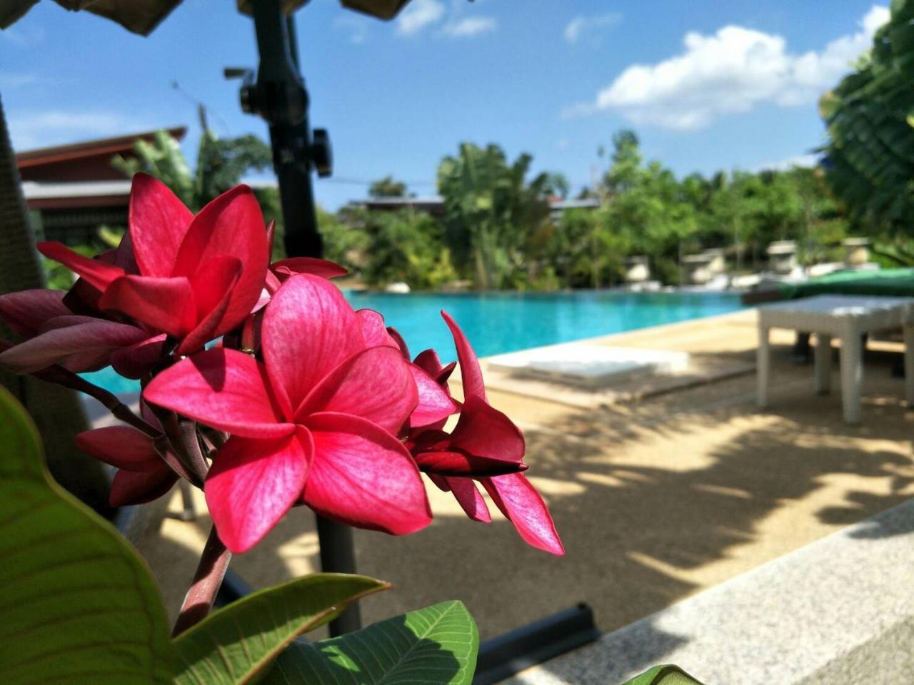 Arthaya Villas - Sha Extra Plus Koh Lanta Luaran gambar